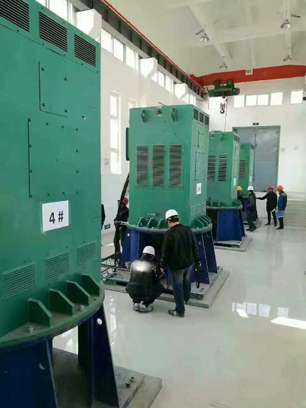 鹤庆某污水处理厂使用我厂的立式高压电机安装现场