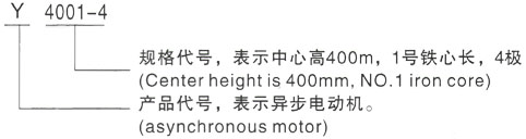 西安泰富西玛Y系列(H355-1000)高压鹤庆三相异步电机型号说明