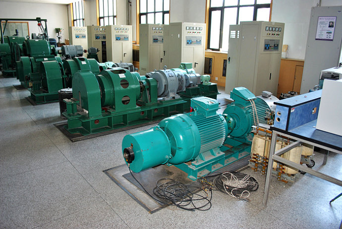 鹤庆某热电厂使用我厂的YKK高压电机提供动力